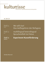 Experiment Kunstförderung Kulturrisse 03/2013