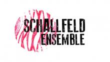 Schallfeld Logo