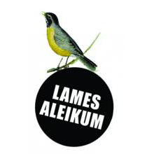 Lames Logo